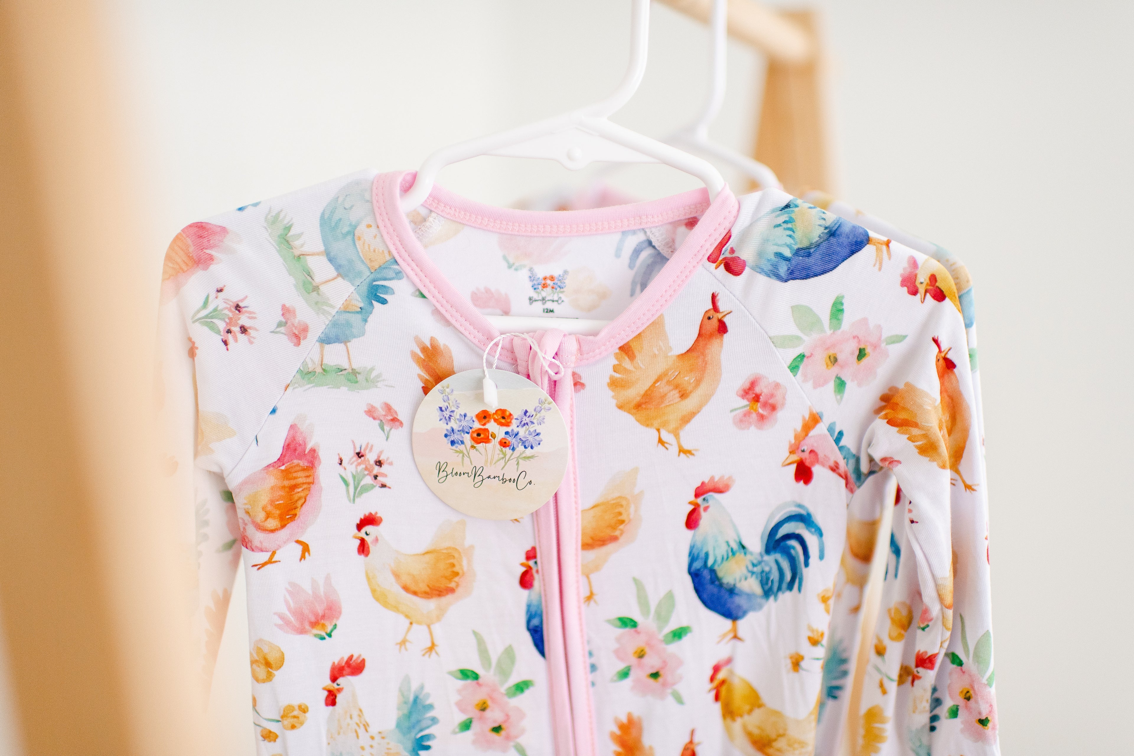 Rainbow Chicken Zippy