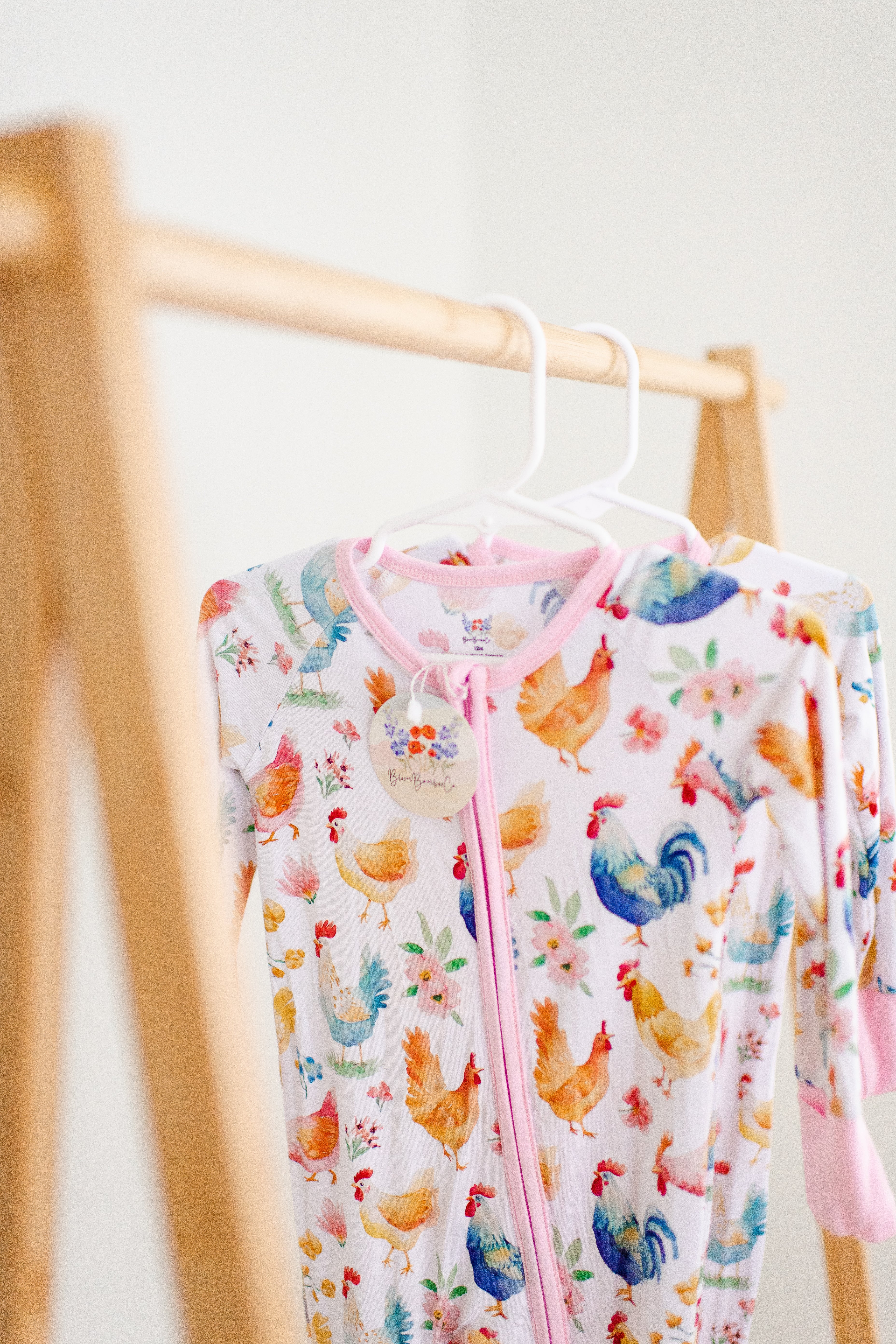 Rainbow Chicken Zippy