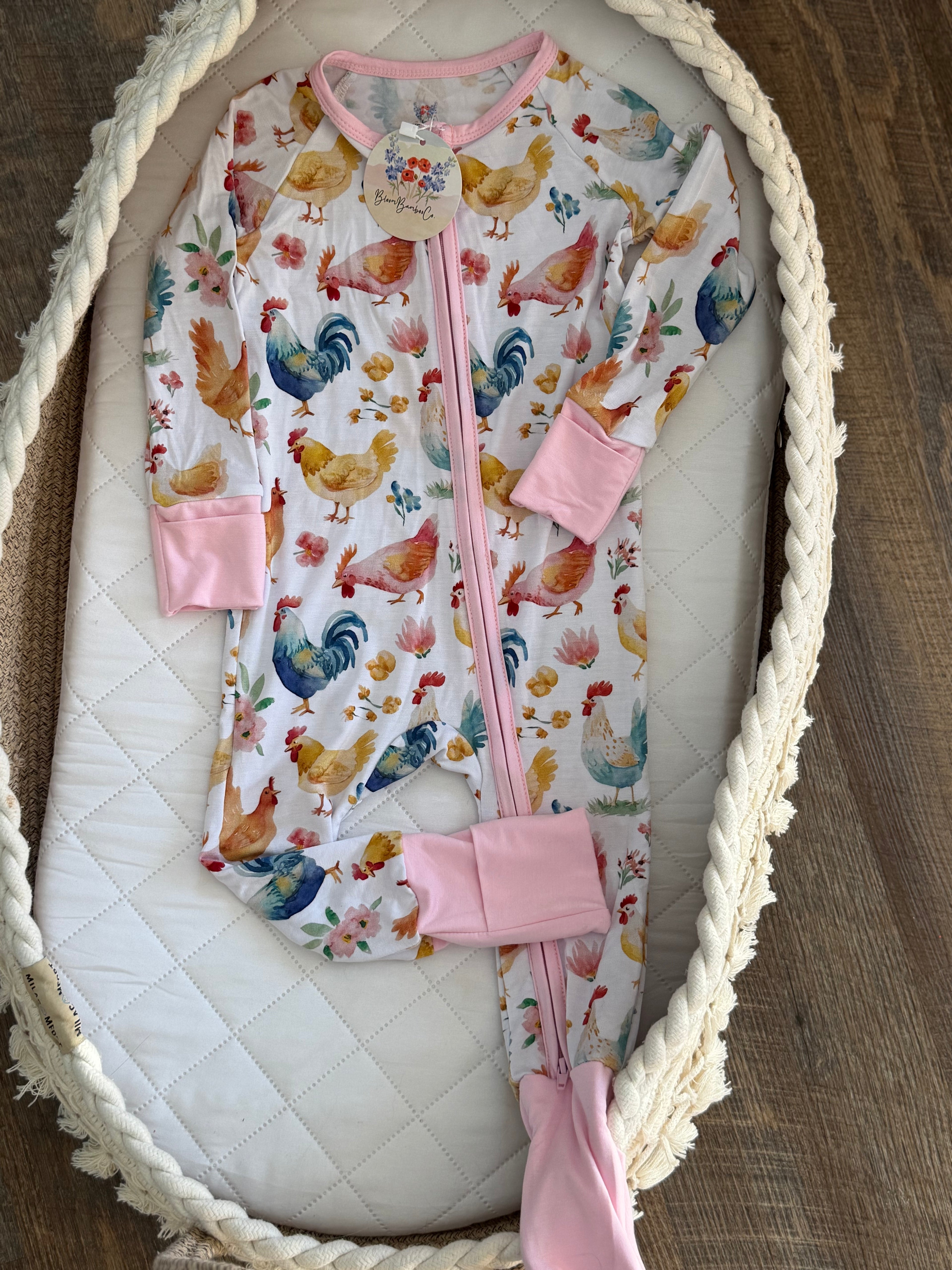 Rainbow Chicken Zippy