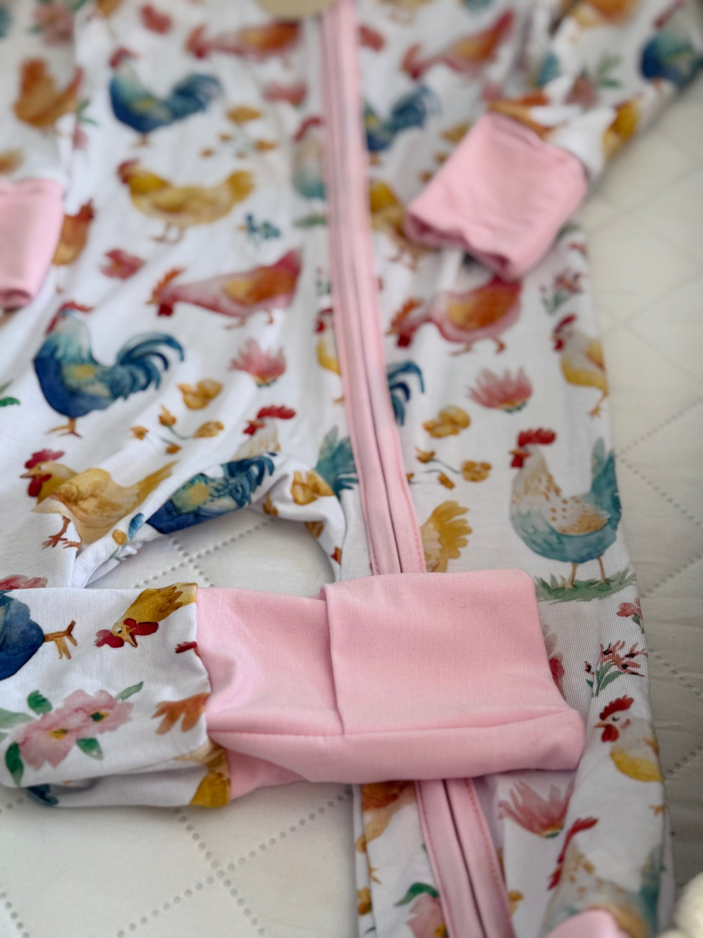 Rainbow Chicken Zippy