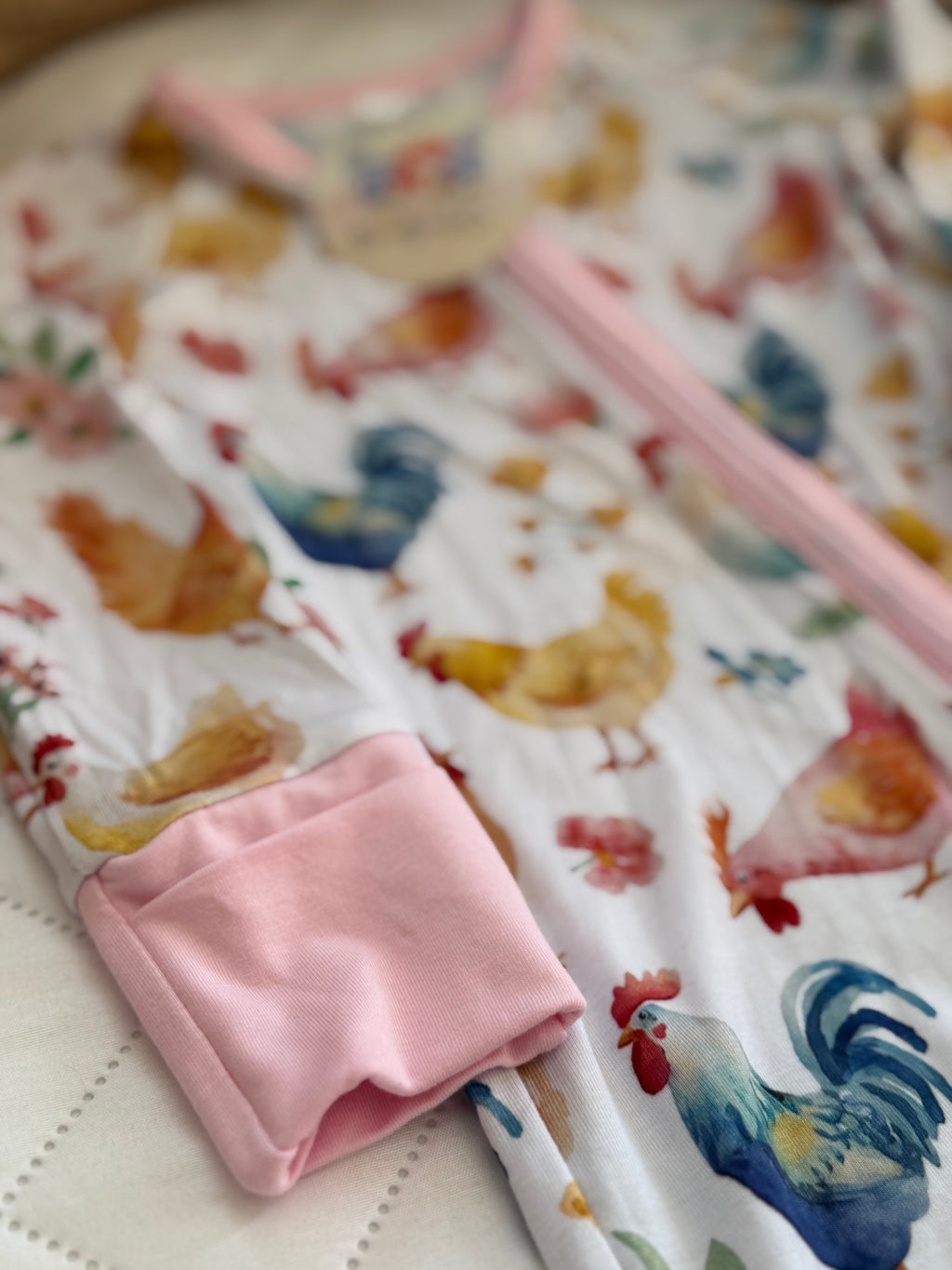 Rainbow Chicken Zippy